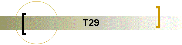 T29