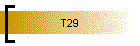 T29