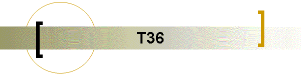 T36