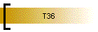 T36